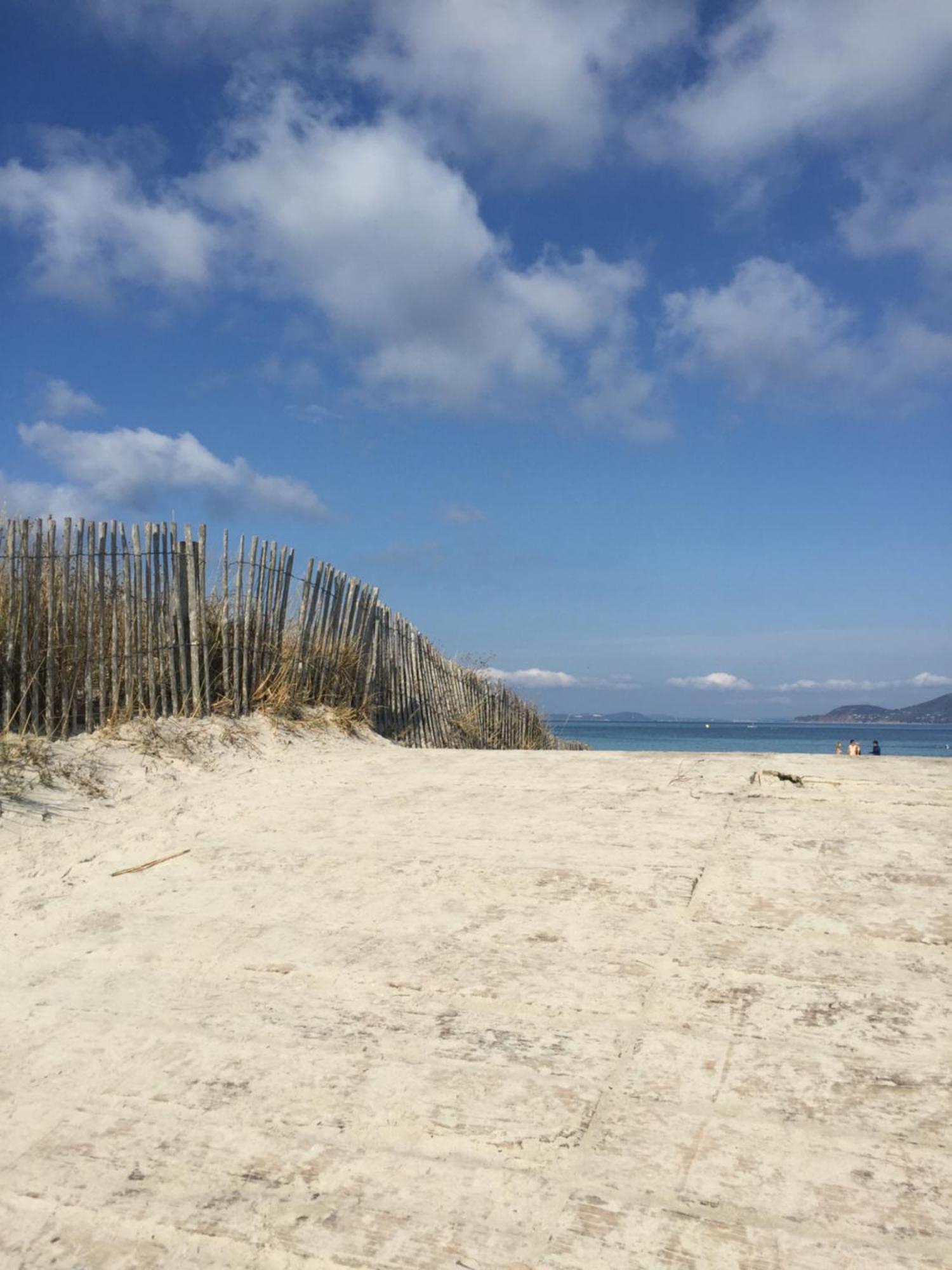 Appartement Les Cigales Rez De Jardin A 10Mn Des Plus Belles Plages イエール エクステリア 写真