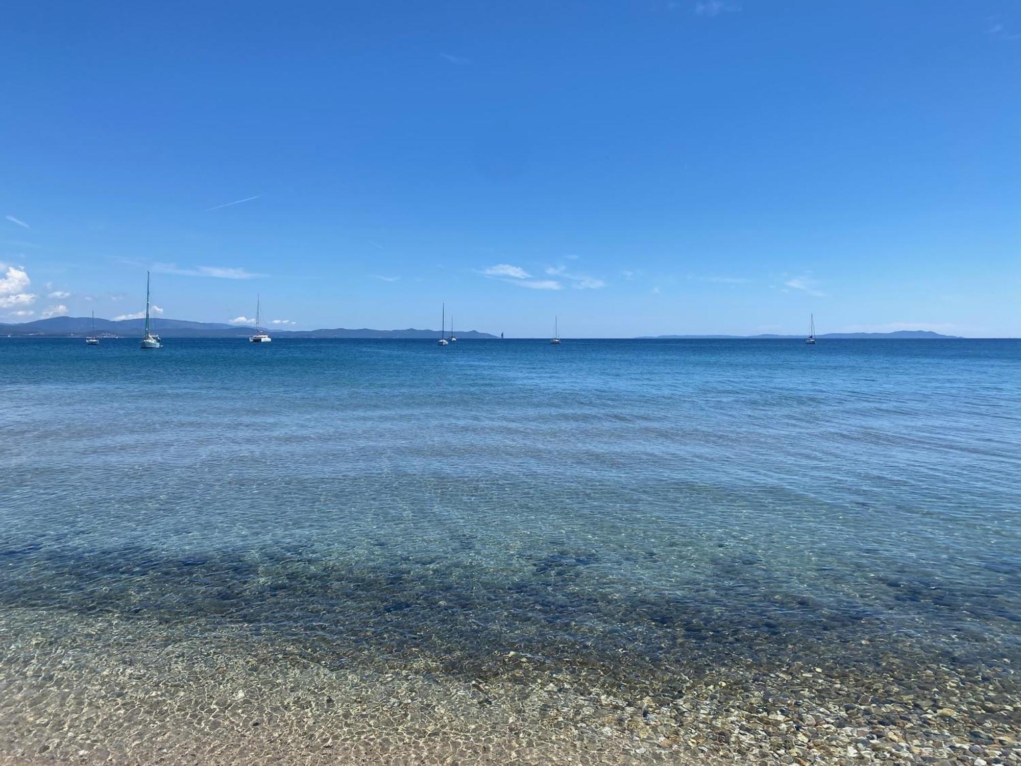 Appartement Les Cigales Rez De Jardin A 10Mn Des Plus Belles Plages イエール エクステリア 写真